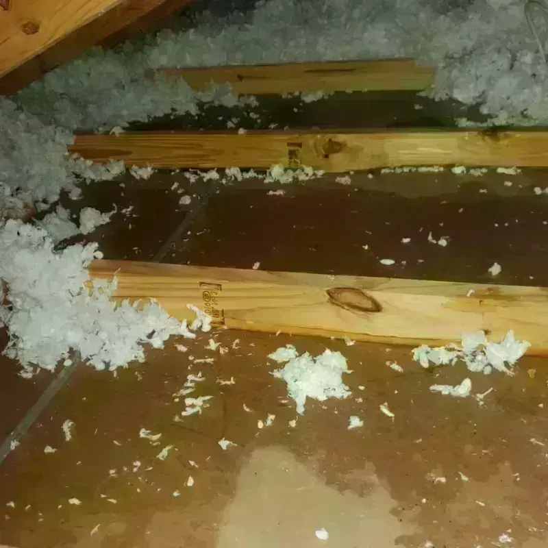 Attic Water Damage in Sharkey County, MS