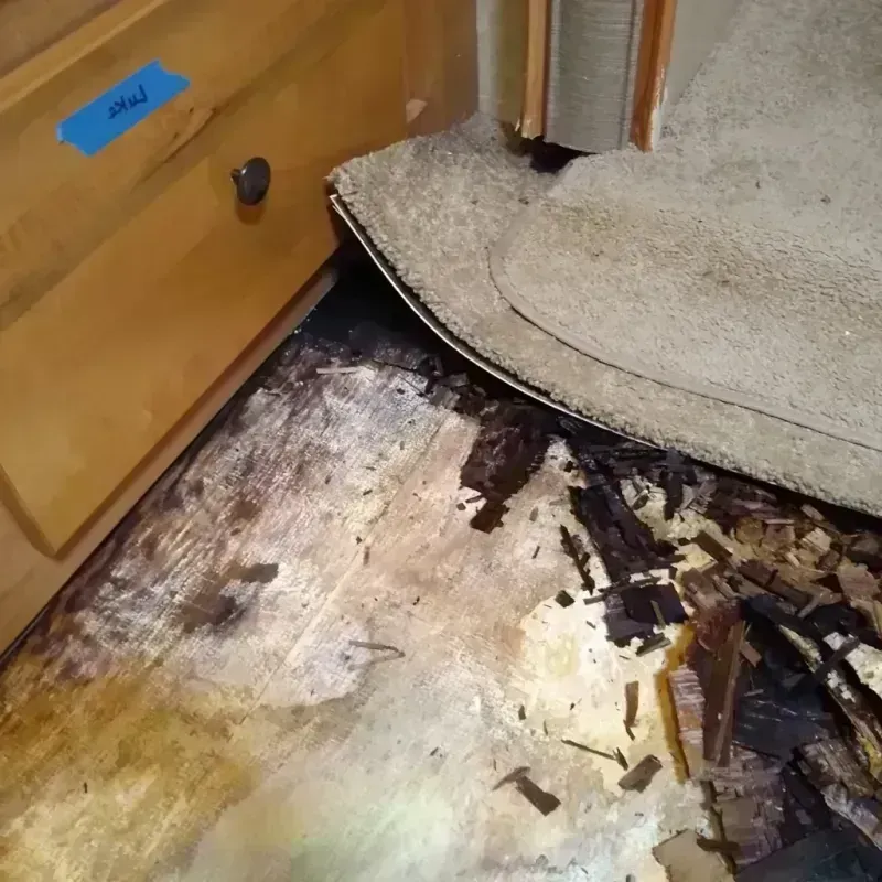 Best Wood Floor Water Damage Service in Sharkey County, MS